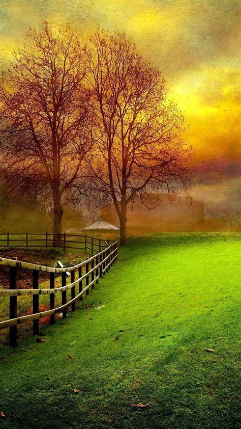 Greenery Nature Wallpaper Download Mobcup