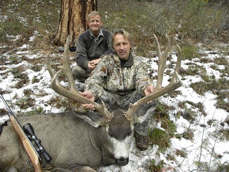 2022 Montana “super Tag” Statewide Deer