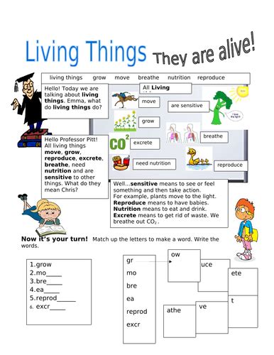 Living Things Characteristics Of Living Things Teaching Resources