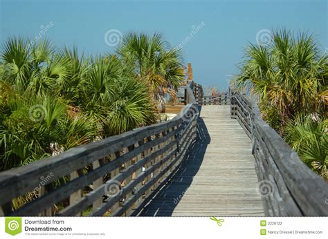 Beautiful Nature View Stock Photo Image Of Relax Park