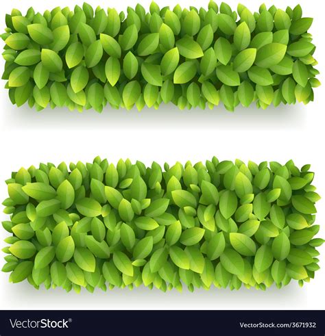 Banner With Green Leaves Royalty Free Vector Image