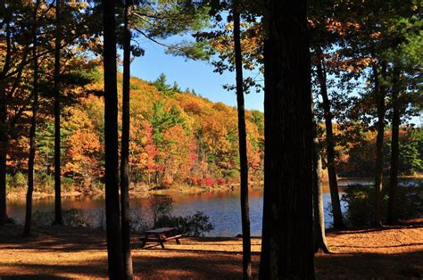 Best Time To See Massachusetts Fall Foliage 2023 When To See Roveme