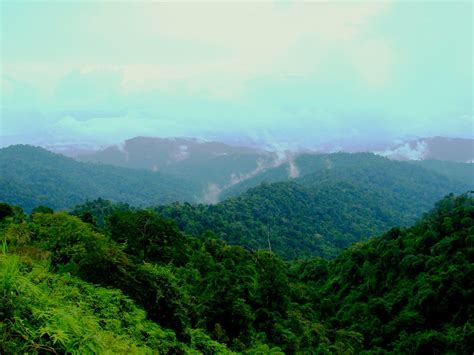 View a detailed profile of the structure 1409256 including further data and descriptions in the emporis. Titiwangsa Mountains | This shot was taken from the rest ...