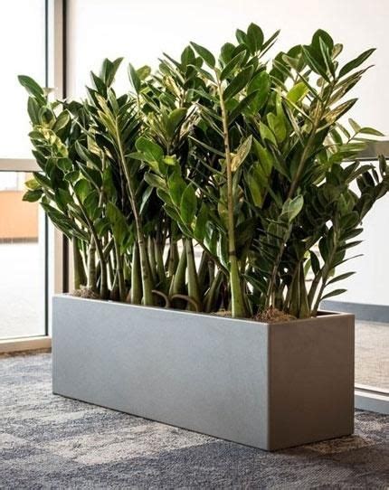 Find here online price details of companies selling rectangular planter. Rectangle Planters | Rectangle planters, Flower pots ...