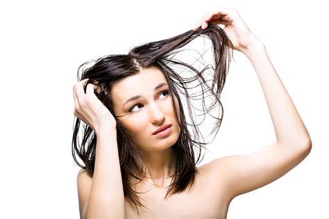 7 Ways To Manage Greasy Hair Salon Price Lady Your Source For