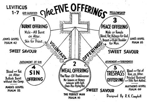The Five Offerings Of Leviticus 1 7 Chart And Brief Outline