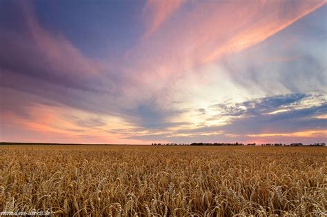 Rural Sunset South Of Leipzig Germany Dave Derbis Photography