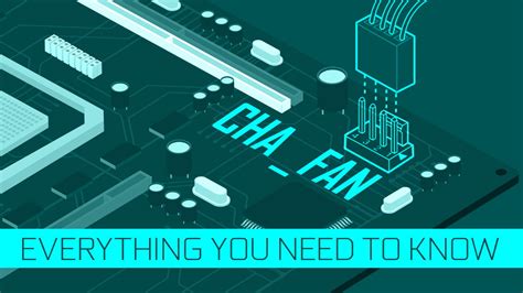 Chafan On Your Motherboard Everything You Need To Know