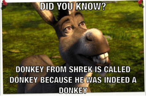 Funny Shrek Memes For True Ogres And Donkeys FandomSpot
