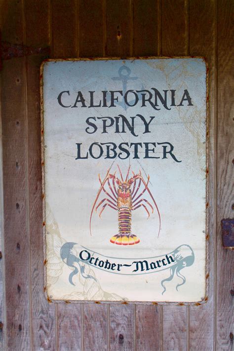 Newport.Dory_2018.3_Lobster.1