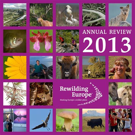 Rewilding Europe Annual Review 2013 By Kristjan Jung Issuu