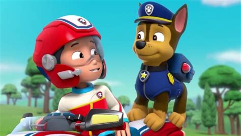 discuss everything about paw patrol relation ship wiki fandom
