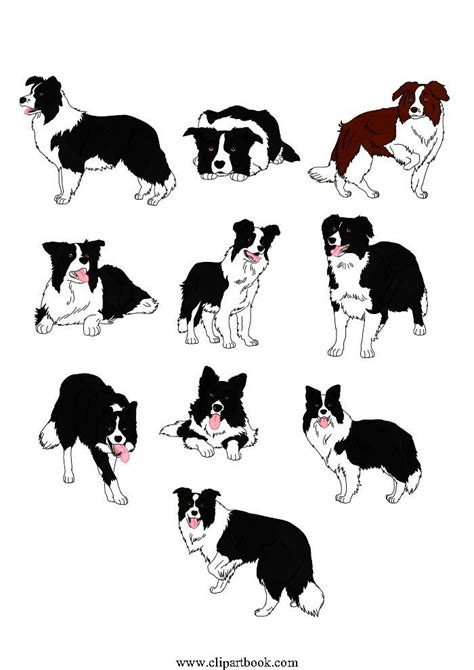 Pin By Katiastabile Design On Painting In 2021 Border Collie Art Dog