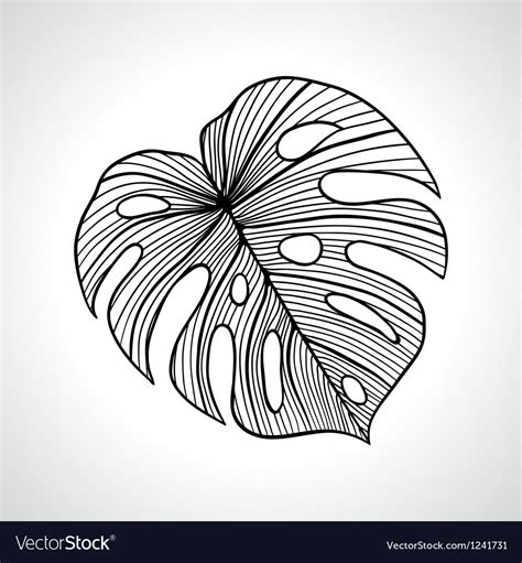 Black Macro Palm Leaf Isolated Royalty Free Vector Image