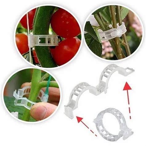 For Gardening Plastic Tomato Plant Supporter Clip Size 23mm 25mm At