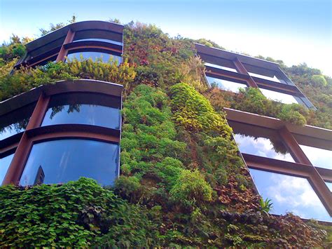 Living Roofs Green Roofs Living Wall Specialists Hampshire Uk