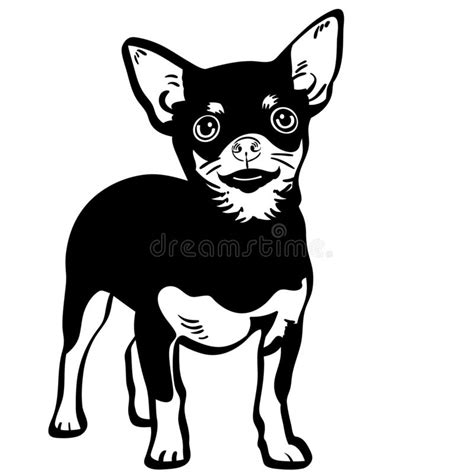 Free Free 268 Chihuahua Svg Free SVG PNG EPS DXF File