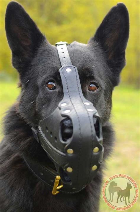 Leather German Shepherd Muzzle Attack Training Work