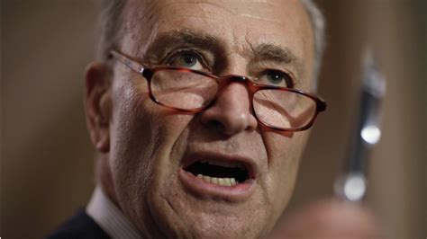 Official account of senator chuck schumer, new york's senator and the senate majority leader. Chuck Schumer embraces conspiracy theory with despicable ...