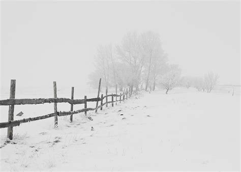 Fences And Trees With Snow Snow Hd Wallpaper Wallpaper Flare