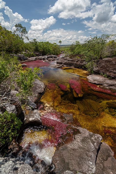 Multicoloured Plants Turn Colombian Waterfall Into A Liquid Rainbow