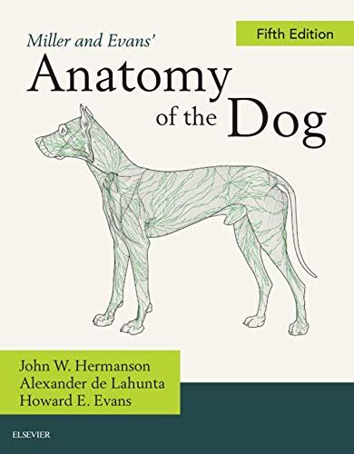 Miller And Evans Anatomy Of The Dog E Book Ebook Hermanson John W
