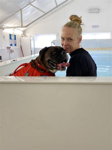 Canine Hydrotherapy Near Liverpool | Pawfect Retreat | Luxury Resort