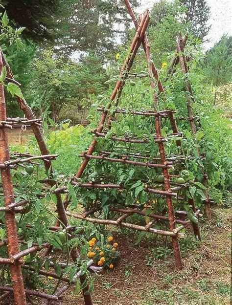 Stick Trellis For Tomatoes Beans Cucumbers Potager Garden Garden