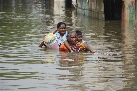 tamil nadu floods 3 dead 7167 acres of crops submerged