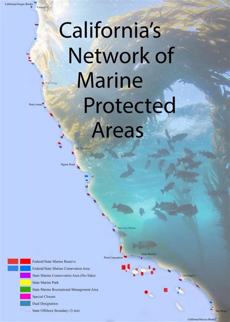 Project Update Community And Citizen Science In Californias Marine