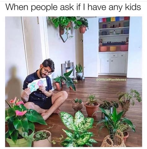 12 Memes For People Whose Plant Obsession Is A Real Problem