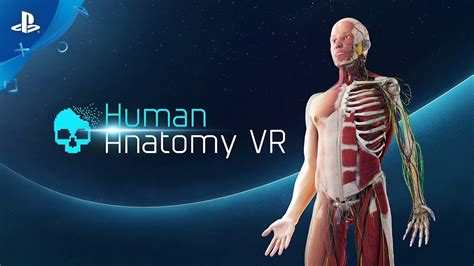Human Anatomy Trailer Psvr Youtube