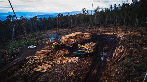 Native Forest Logging — End Now Never Underestimate The Power Of The