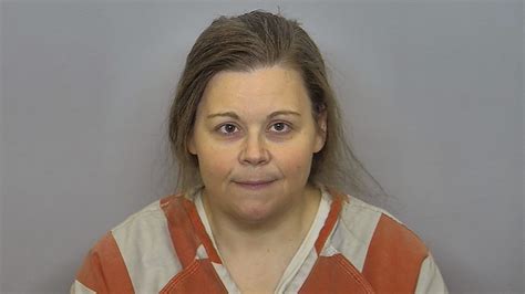 An alleged affair, security cameras and a K-9: How police determined