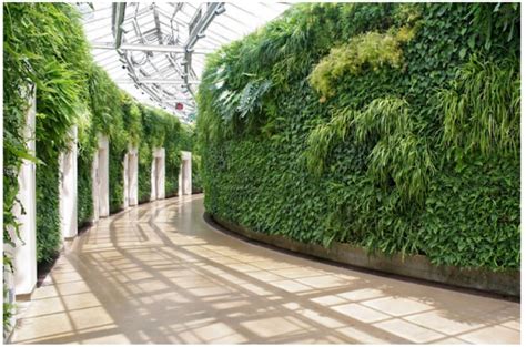 Images Of Vertical Garden Walls E Nthralled