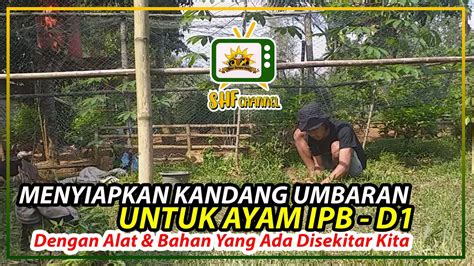 Check spelling or type a new query. CARA MUDAH MEMBUAT KANDANG UMBARAN AYAM LOKAL | AYAM IPB ...