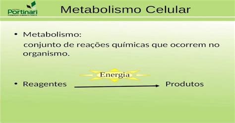 No Citosol Ocorrem Várias Reações Químicas Relacionadas Ao Metabolismo Celular