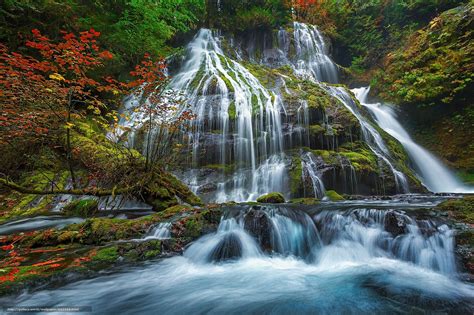 Scaricare Gli Sfondi Panther Creek Falls Ford Pinchot National