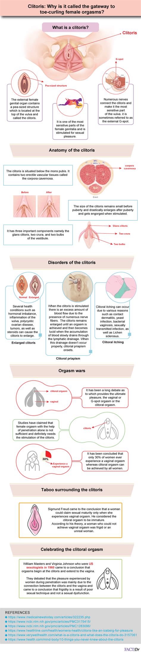 Clitoris Functions Location Orgasms Anatomy And Facts Factdr