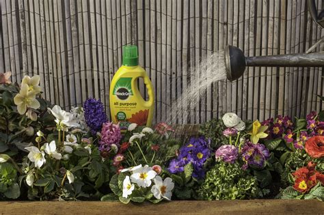 Feeding plants & borders with David Domoney | Love The Garden