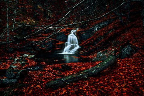 Autumn Red Leaves Forest Waterfall River Water Stream Hd Wallpaper