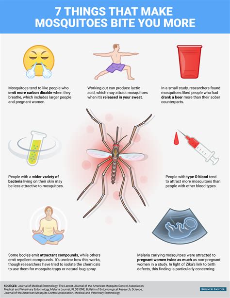 7 Things That Make Mosquitoes Bite You More Business Insider