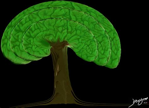 Brain Tree Art In Anatomy