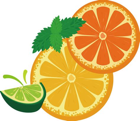 Download Hd Limon Vector Png Orange And Lemon Vector Transparent Png