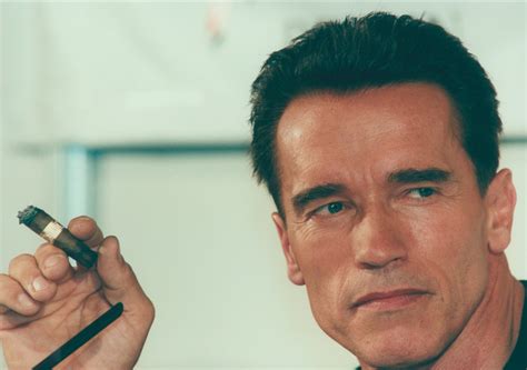 Celebrity Arnold Schwarzenegger Hd Wallpaper
