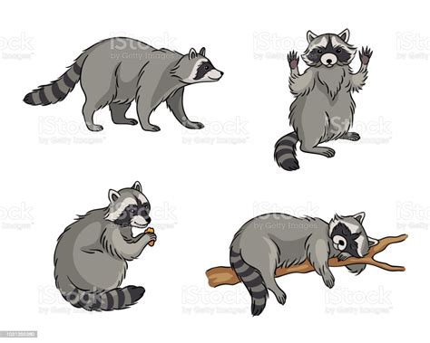 Racoons Vector Illustration Stock Illustration - Download Image Now