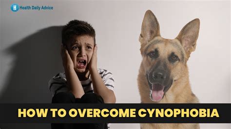 How To Overcome Cynophobia A Guide For People Who Fear Dogs
