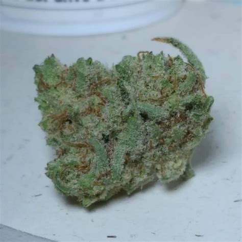 Strain Review Mimosa By Oregon Greens Enterprises The Highest Critic