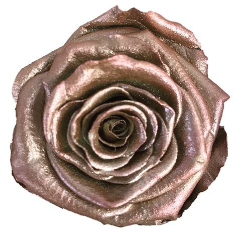 Metallic Rose Gold Specialty Mfleursmtl