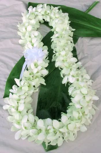 White Orchid Lei By Flower Allie In 2020 Orchid Lei Hawaiian Lei